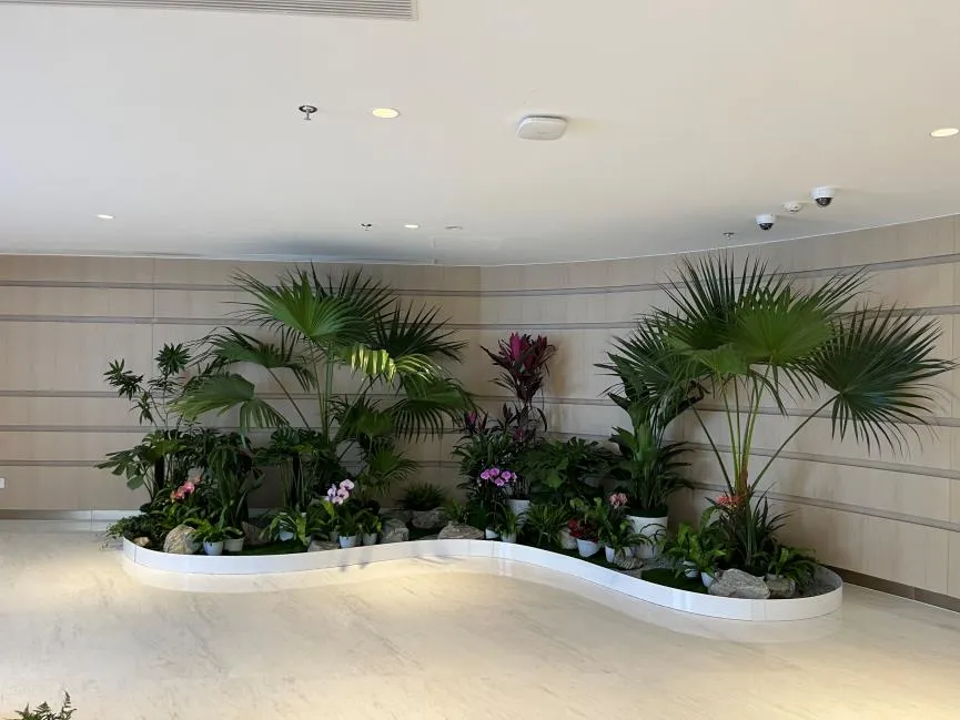 想知道江北花卉租摆哪家强？看这篇就够啦！